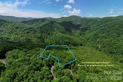 1620 North Haven Drive #CC18, Black Mountain, NC 28711 - Photo 6