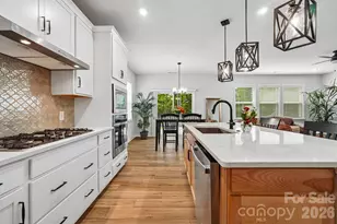 8137 Franklin Trl St, Charlotte, NC 28227 - Photo 10