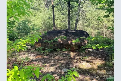 Lot 11 Brookside Parkway, Lake Lure, NC 28746 - Photo 6