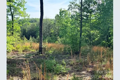 Lot 11 Brookside Parkway, Lake Lure, NC 28746 - Photo 10