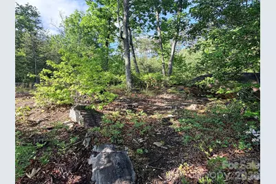 Lot 11 Brookside Parkway, Lake Lure, NC 28746 - Photo 4