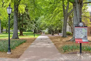 138 Woodland St, Davidson, NC 28036 - Photo 48