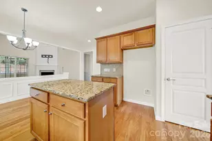 12051 Dunipace Ct, Indian Land, SC 29707 - Photo 10