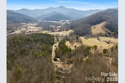 56 Great Horned Owl Road, Candler, NC 28715 - Photo 32