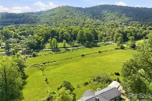767 New Haw Creek Rd, Asheville, NC 28805 - Photo 1