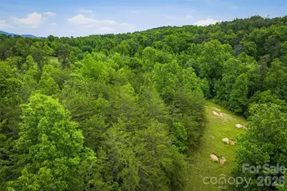 1350 Lavender Road, Old Fort, NC 28762 - Photo 10