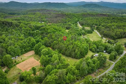 1350 Lavender Road, Old Fort, NC 28762 - Photo 4