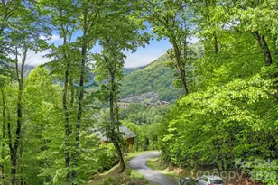 140 Slim Rdg, Maggie Valley, NC 28751 - Photo 24