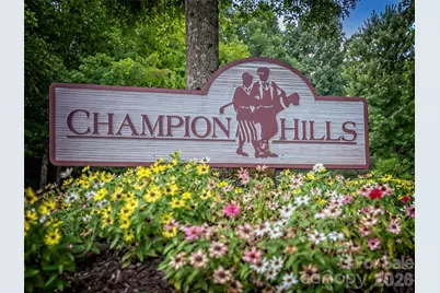 4 Lacoste Drive, Hendersonville, NC 28739 - Photo 42
