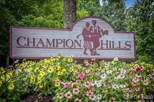 4 Lacoste Dr, Hendersonville, NC 28739 - Photo 42