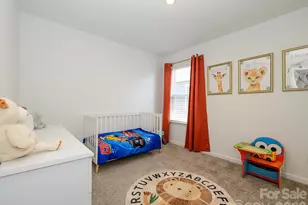 14129 Canemeadow Dr, Charlotte, NC 28278 - Photo 20