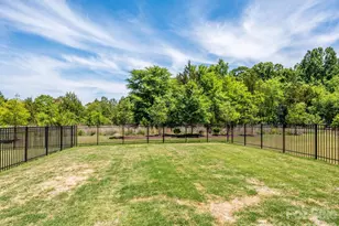 14129 Canemeadow Dr, Charlotte, NC 28278 - Photo 26