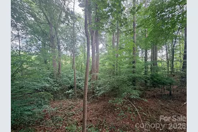 Lot 12 Sheepnose Drive, Lake Lure, NC 28746 - Photo 8