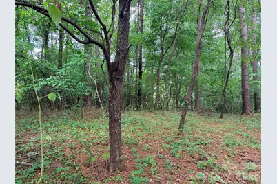 Lot 12 Sheepnose Drive, Lake Lure, NC 28746 - Photo 4