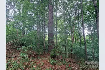 Lot 12 Sheepnose Drive, Lake Lure, NC 28746 - Photo 6