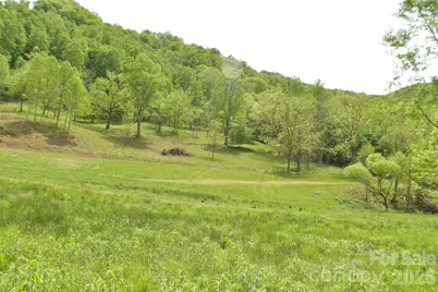 8200 Caney Fork Road, Cullowhee, NC 28723 - Photo 2