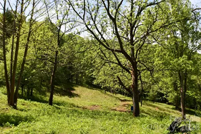 8200 Caney Fork Road, Cullowhee, NC 28723 - Photo 8