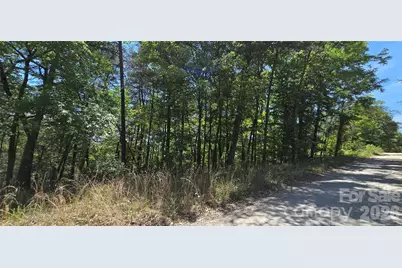 Lot 7 Pinnacle Parkway, Union Mills, NC 28167 - Photo 8