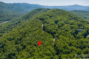 Lot 3 Cedar Mountain Rd, Asheville, NC 28803 - Photo 1