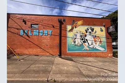 1017 Pegram Street, Charlotte, NC 28205 - Photo 20