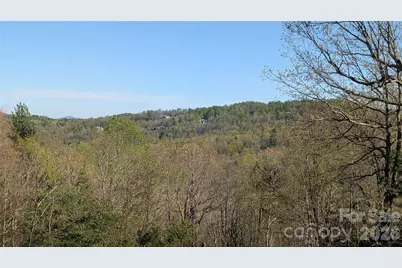 163 Old Poplar Lane, Flat Rock, NC 28731 - Photo 6
