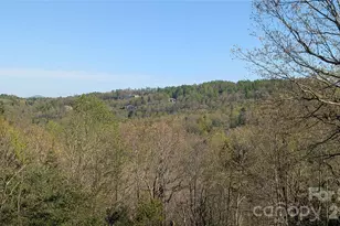 163 Old Poplar Ln, Flat Rock, NC 28731 - Photo 6