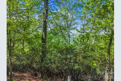 99999 Laurel Drive #27, 28, 29, Mills River, NC 28759 - Photo 8