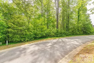 61 Bradford Vistas Drive, Fletcher, NC 28732 - Photo 4