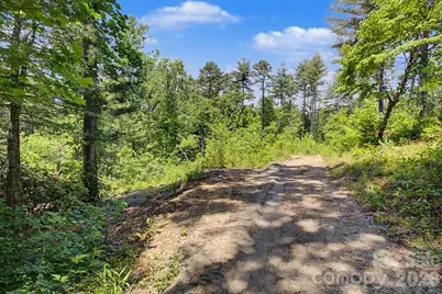 1355 Brookside Camp Road, Hendersonville, NC 28792 - Photo 16