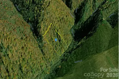 1448 Reservation Road, Maggie Valley, NC 28751 - Photo 2