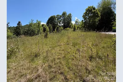 99999 S Morgan Branch Road, Candler, NC 28715 - Photo 8