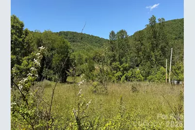 99999 S Morgan Branch Road, Candler, NC 28715 - Photo 2