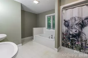 7 Timber Park Dr, Black Mountain, NC 28711 - Photo 32