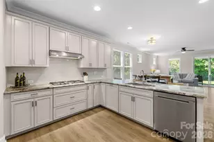 14202 Goldenrod Trace Rd, Charlotte, NC 28278 - Photo 8