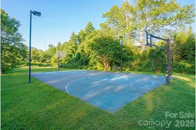 165 Israel Road, Leicester, NC 28748 - Photo 46