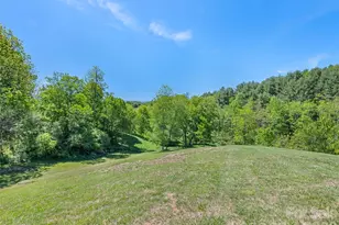 265 Cansadie Top Rd, Waynesville, NC 28785 - Photo 12
