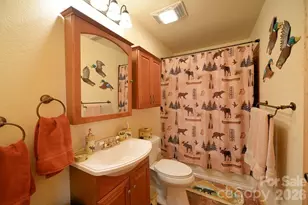470 Bear Ridge Rd, Tuckasegee, NC 28783 - Photo 26