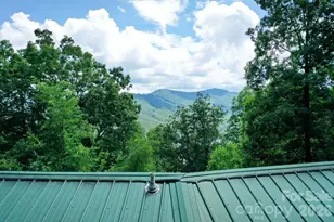 470 Bear Ridge Rd, Tuckasegee, NC 28783 - Photo 6