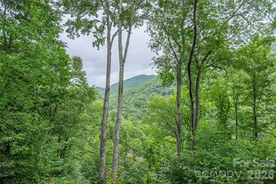 309 Irene Lane, Maggie Valley, NC 28751 - Photo 4