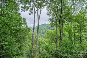 309 Irene Ln, Maggie Valley, NC 28751 - Photo 4