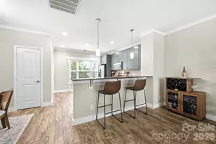1733 Matheson Ave, Charlotte, NC 28205 - Photo 8