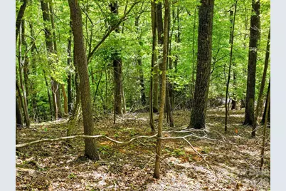 00 Hickory Springs Road #12, Burnsville, NC 28714 - Photo 6