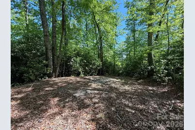 10C Reserve Road, Pisgah Forest, NC 28768 - Photo 8