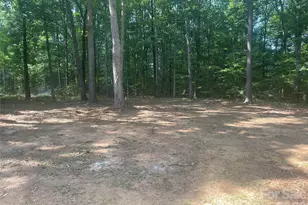 130 Trex Rd, Rockwell, NC 28138 - Photo 10