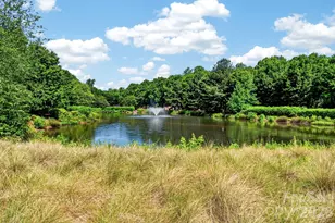 262 Harbour Pl Dr, Davidson, NC 28036 - Photo 28