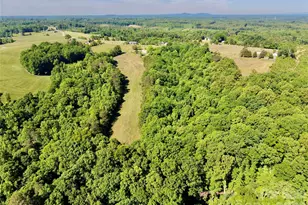 5028 Kurstie Ln, Boonville, NC 27011 - Photo 36