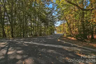 18246 Torchbearer Ln, Charlotte, NC 28278 - Photo 22