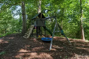 115 Bittersweet Trail, Canton, NC 28716 - Photo 38