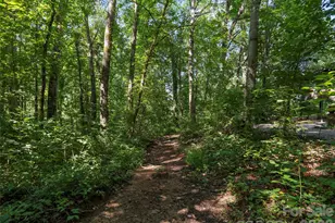 115 Bittersweet Trail, Canton, NC 28716 - Photo 42