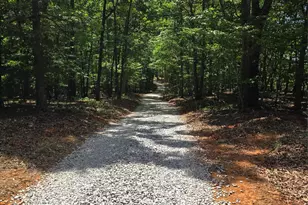 887 Okeewemee Star Rd, Star, NC 27356 - Photo 4